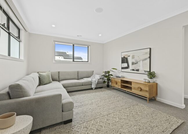 Mentone 334 rumpus 